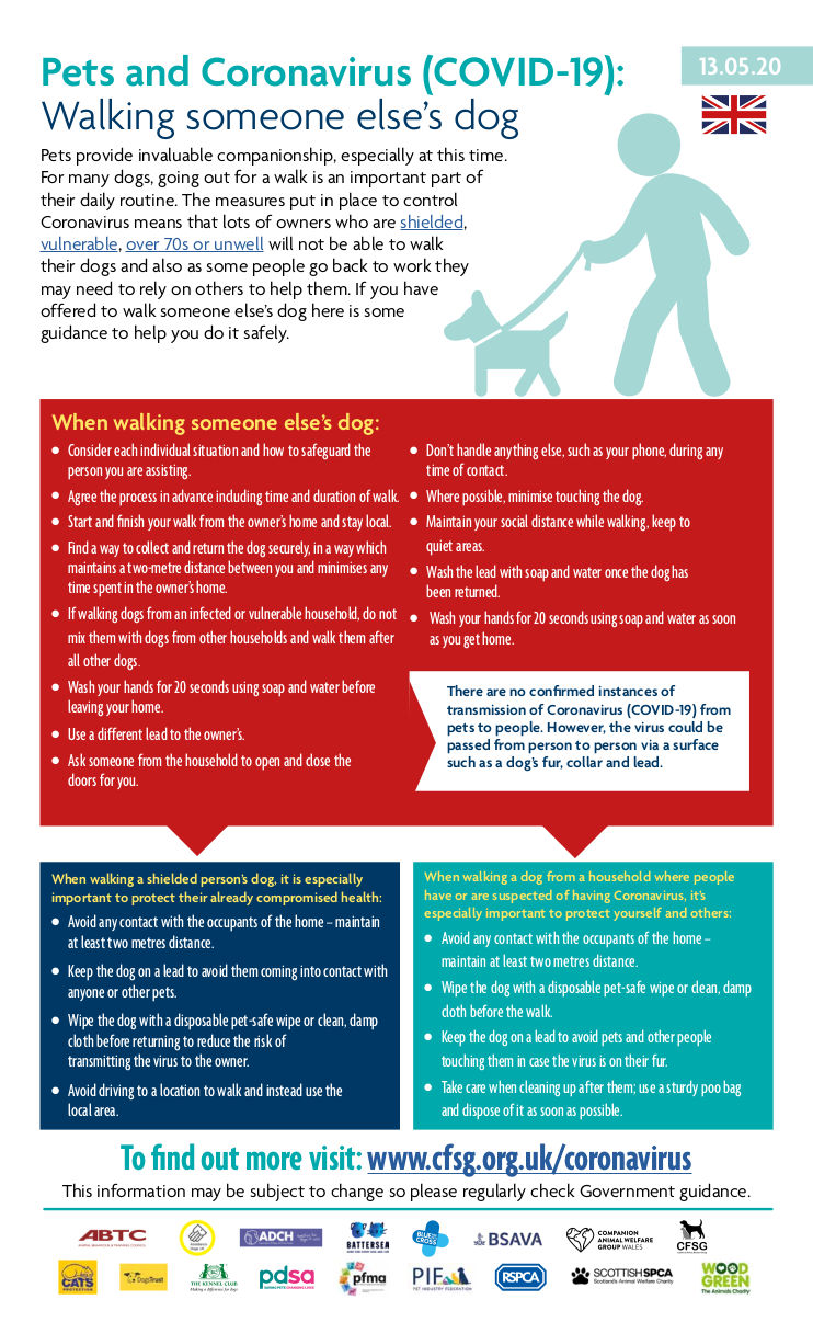 Infographic on dog walking and COVID-19