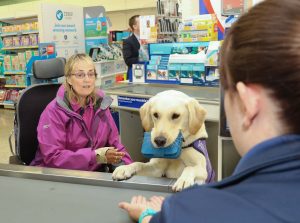 Canine Partner May with Kate at a check out