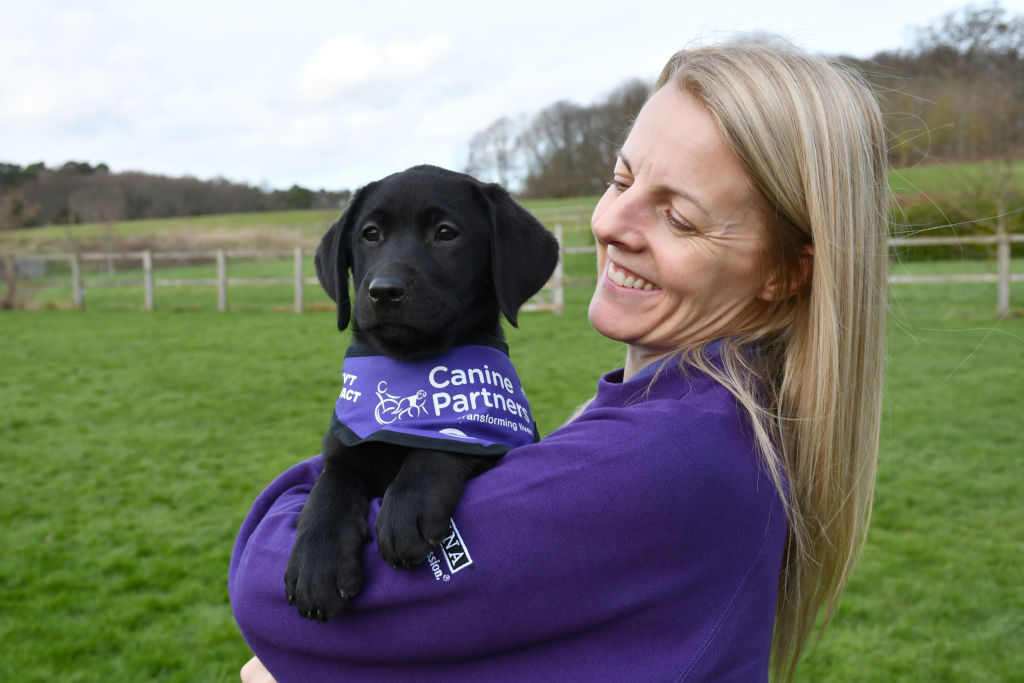 Dog store training volunteer