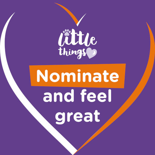 Little Things: Nominate and feel great