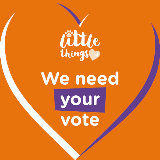 Little Things: We need your vote