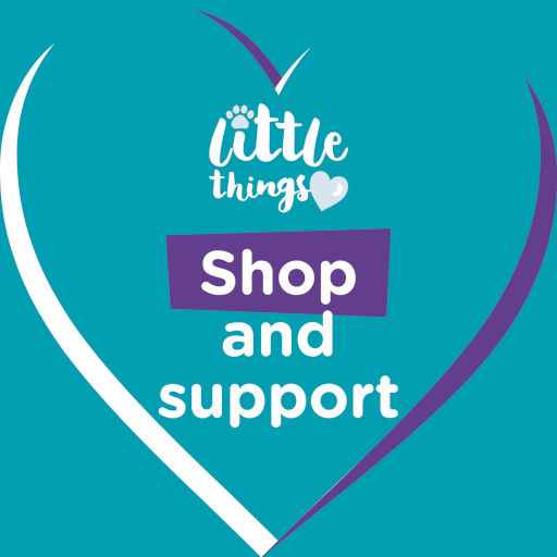 Little Things: Shop and support