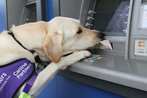 CP May taking money from a cash machine