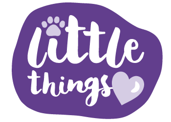 Little Things logo