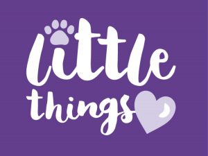 Little Things logo