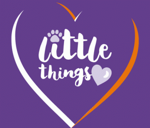 Little Things campaign tile, small