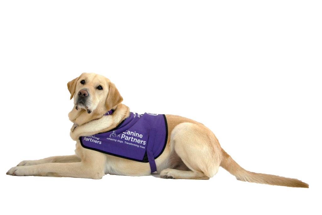 Ms 2024 service dog