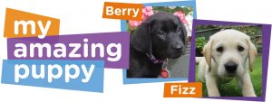 Berry and Fizz sponsored puppies for Q2 2021