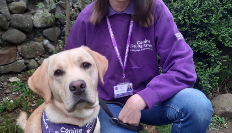 Volunteer Puppy Fosterer and her dog