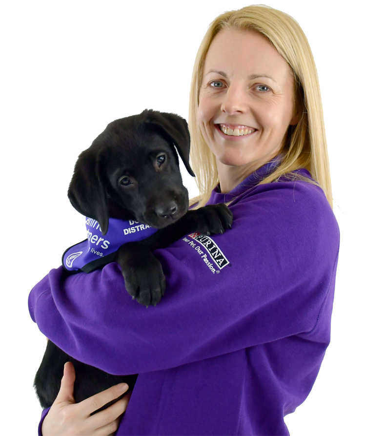 can you train your own service dog uk