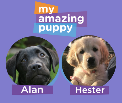 My Amazing Puppy photos of Alan and Hester