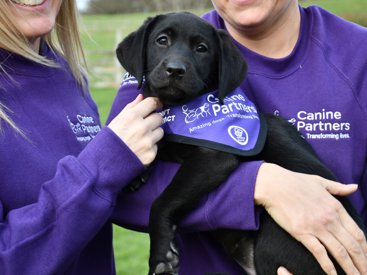 Volunteers with a puppy