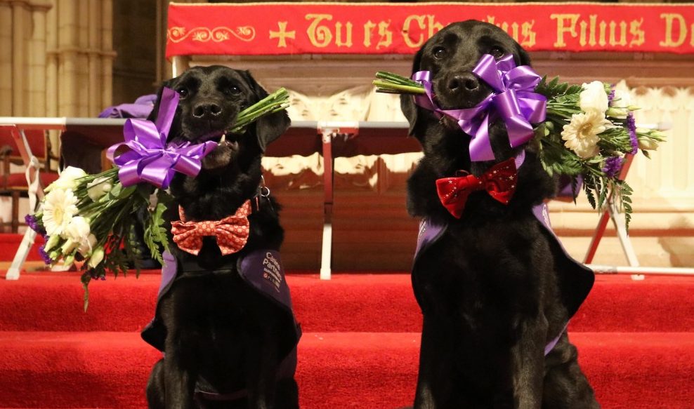 600261020_1293706296128722_6374332665082158793_n (1)