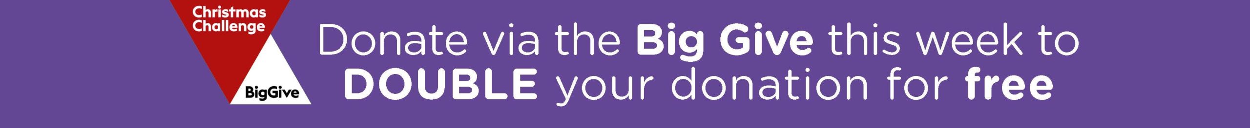 Big Give Promo Banner